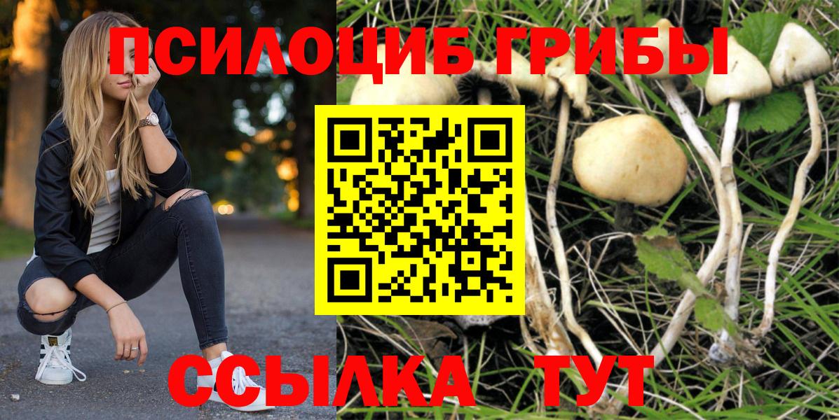 Галлюциногенные грибы Cubensis Ишимбай